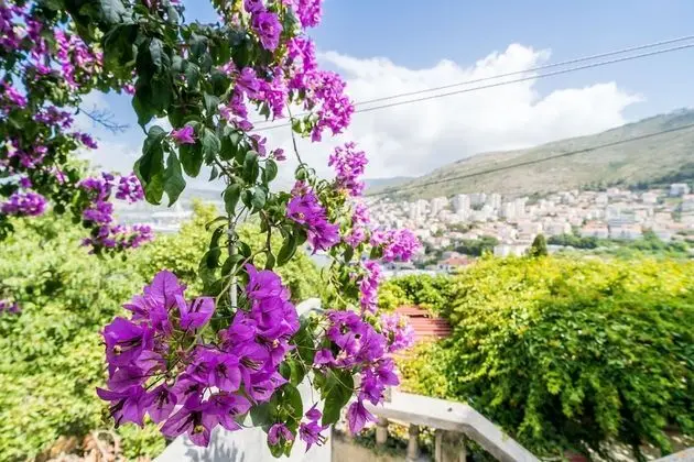 Apart Daire (Two Bedroom Apartment)