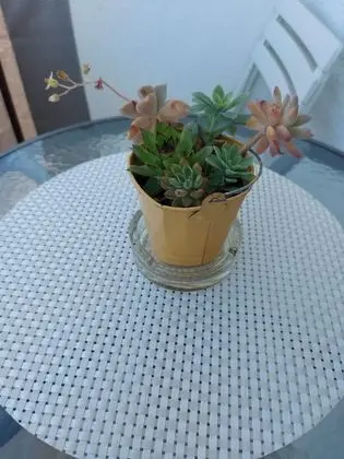 Apart Daire (One Bedroom Apartment with Balcony an)