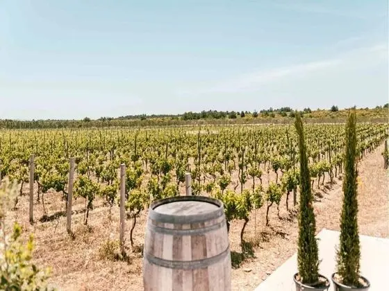 Apart Daire (One Bedroom Apartment with Balcony an)