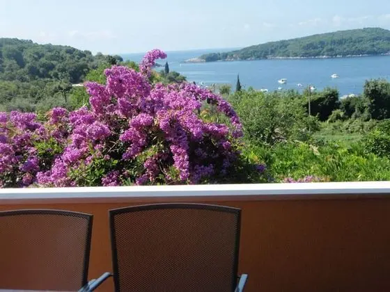 Apart Daire (One Bedroom Apartment with Terrace)