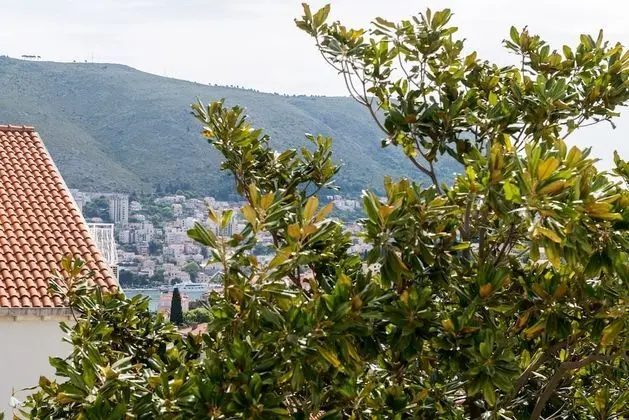 Apart Daire (One Bedroom Apartment)