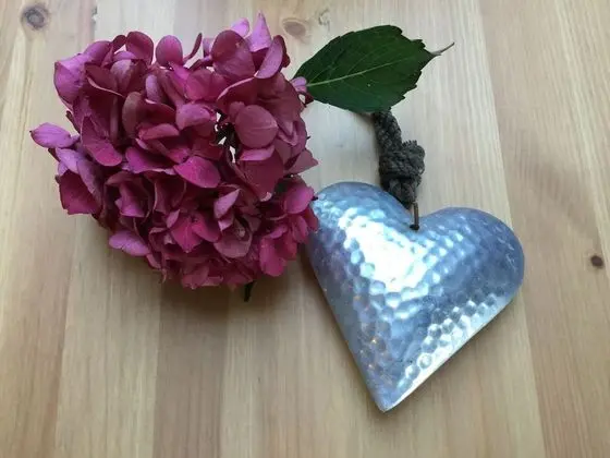 Apart Daire, Özel Banyo (Marit)