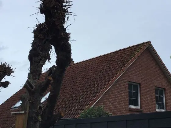 Apart Daire, Özel Banyo (Marit)