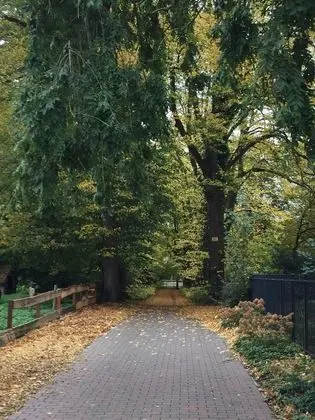 Apart Daire, Özel Banyo (Marit)