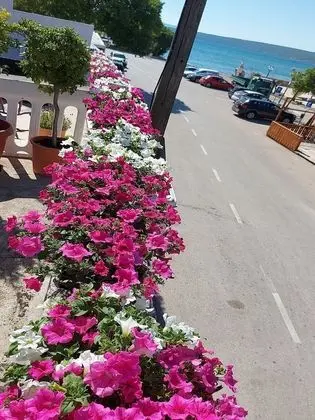 Apart Daire (One Bedroom Apartment with shared Ter)