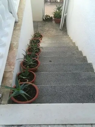 Apart Daire (One Bedroom Apartment with shared Ter)