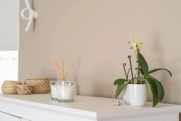 Apart Daire, Birden Çok Yatak