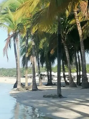 Oda, 1 Yatak Odası, Sigara İçilebilir, Mikrodalga