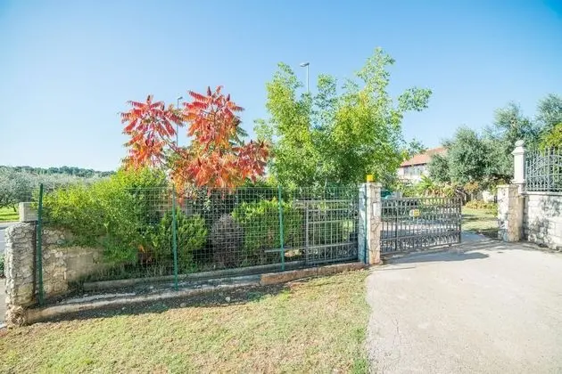 Apart Daire, 1 Çift Kişilik Yatak ve Çekyat