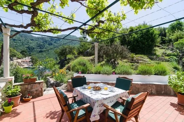 Standard Apart Daire, 1 Yatak Odası, Teras