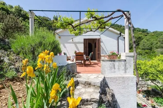 Standard Apart Daire, 1 Yatak Odası, Teras