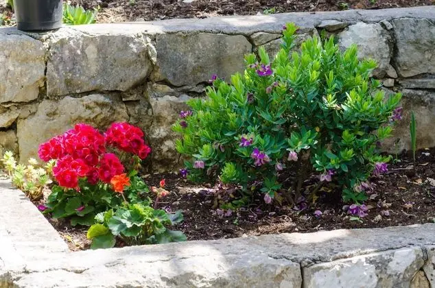 Standard Apart Daire, 1 Yatak Odası, Teras