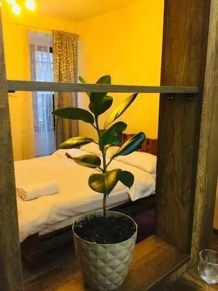 Deluxe Stüdyo Süit