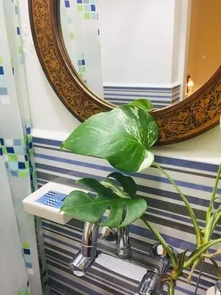 Economy Tek Büyük Yataklı Oda