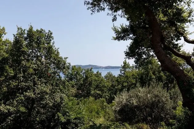 Apart Daire (Two-Bedroom Apartment with Terrace)