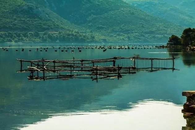 Apart Daire, 3 Yatak Odası, Şömine