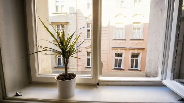 Deluxe Stüdyo (Apartment)