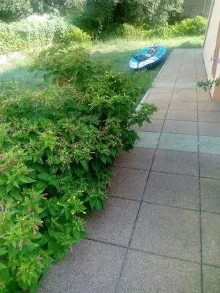 Apart Daire, 1 Yatak Odası, Balkon