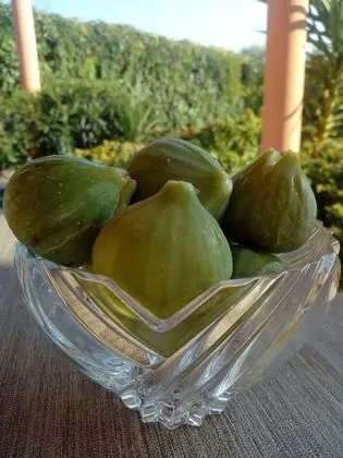 Apart Daire, 1 Yatak Odası, Balkon