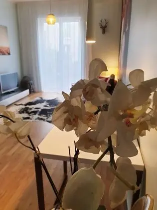 Design Apart Daire, Engellilere Uygun, Bahçe Manzaralı
