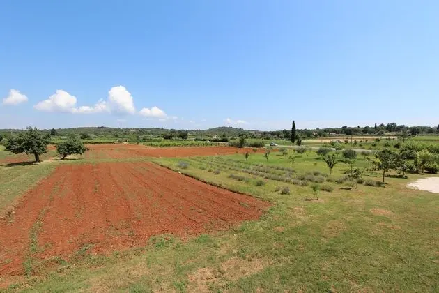 Apart Daire, 3 Yatak Odası, Balkon