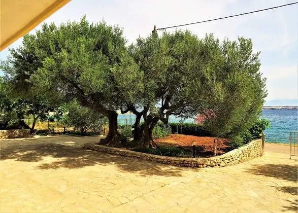 Apart Daire, 2 Yatak Odası, Balkon