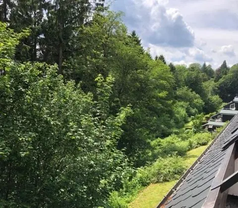 Apart Daire, 2 Yatak Odası, Balkon