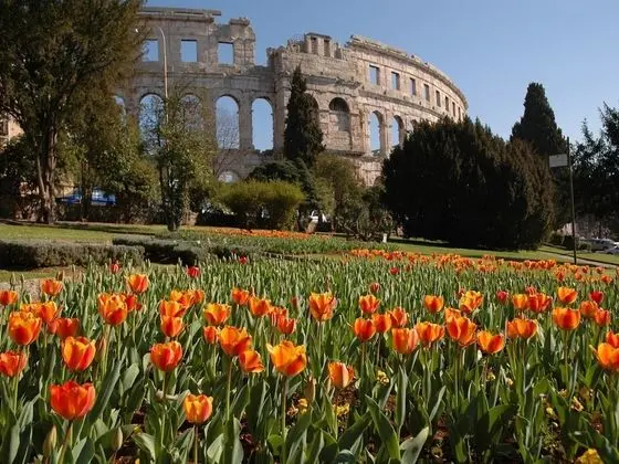 Apart Daire (Two Bedroom Apartment with Balcony)