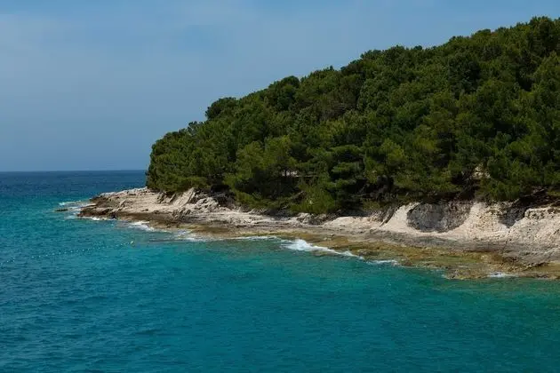 Apart Daire (Two Bedroom Apartment with Balcony)