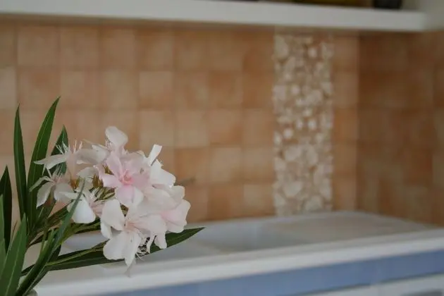 Apart Daire, 2 Yatak Odası, Teras