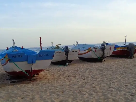 Daire, 1 Yatak Odası, Teras