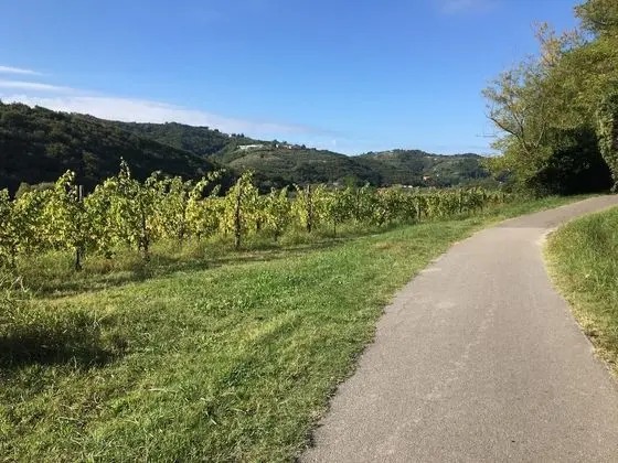 Apart Daire, 2 Tek Kişilik Yatak