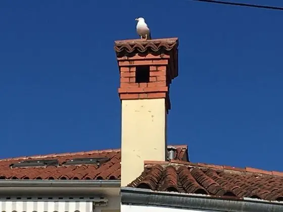 Apart Daire, 2 Tek Kişilik Yatak