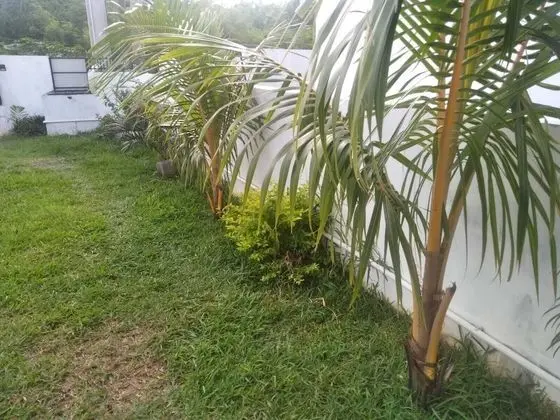 Villa, 3 Yatak Odası, Sigara İçilebilir, Balkon