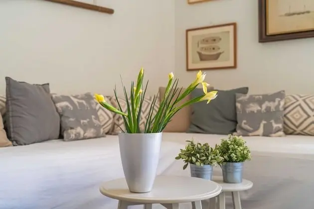 Apart Daire (One Bedroom Apartment with City View)