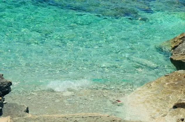 Apart Daire, 3 Yatak Odası, Balkon