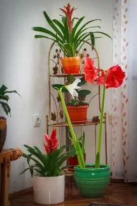 Apart Daire, 2 Yatak Odası, Balkon