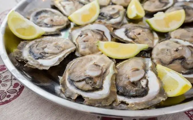 Apart Daire (Two Bedroom Apartment with Terrace)