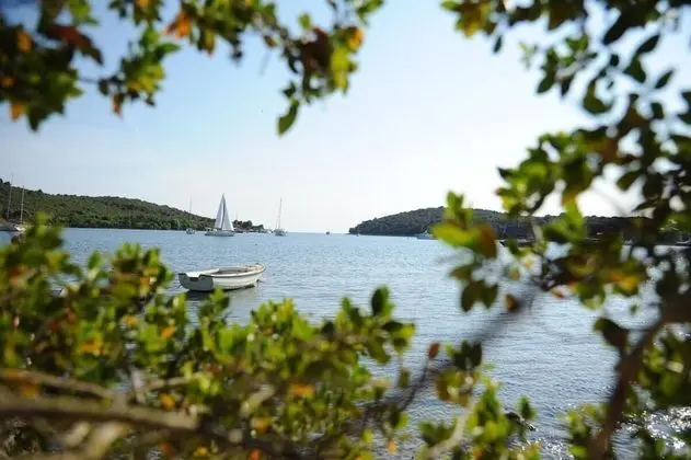 Apart Daire, 3 Yatak Odası, Veranda