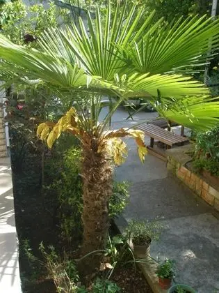 Apart Daire, 3 Yatak Odası, Veranda