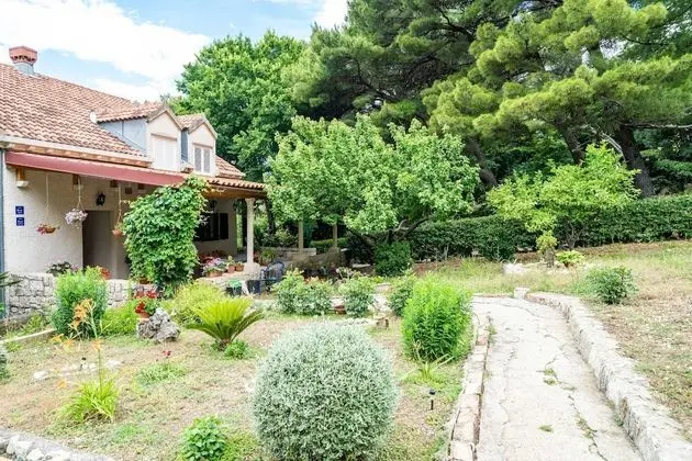 Tek Büyük Yataklı Oda (Apartment & Rooms Papa - Premium Doub)