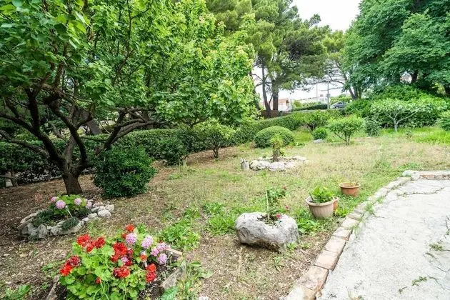 Tek Büyük Yataklı Oda (Apartment & Rooms Papa - Superior Dou)