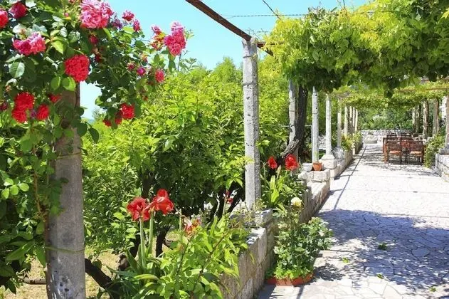 İki Ayrı Yataklı Oda (Superior Double Room - Soba 3)