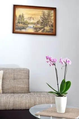 Apartment, 2 Bedrooms A1