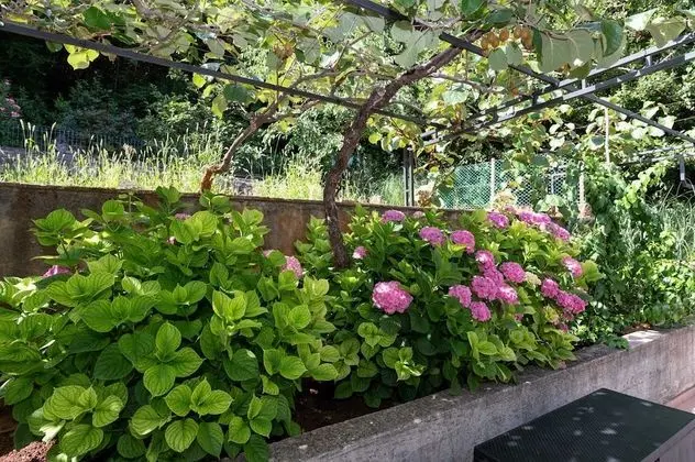 Apart Daire (Two bedroom apartment with Terrace an)