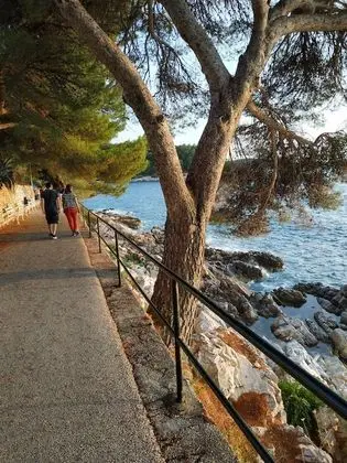 Apart Daire (One Bedroom Apartment)