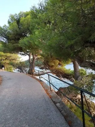 Apart Daire (One Bedroom Apartment)