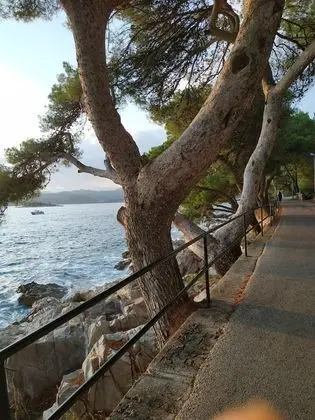 Apart Daire (One Bedroom Apartment)