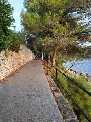 Apart Daire (One Bedroom Apartment)