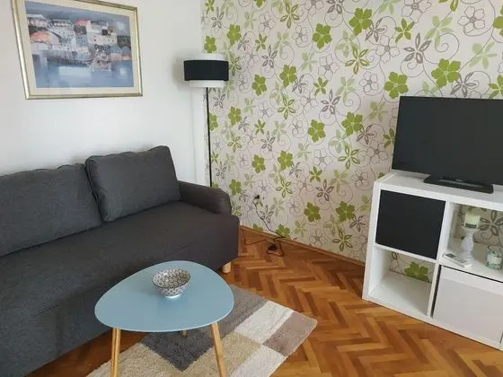 Apartment (One Bedroom Apartment)